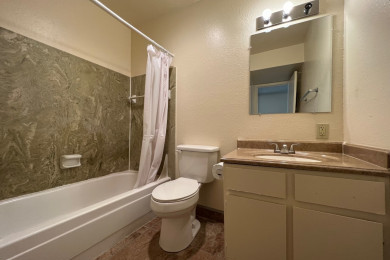 Ponderosa Pines 1BR - Bathroom