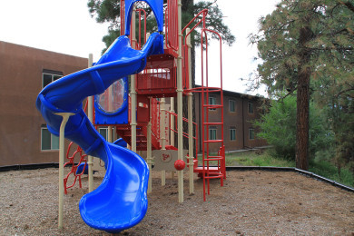 Ponderosa Pines playground