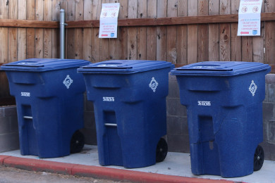 Ponderosa Pines recyling bins